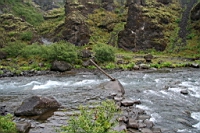 IMG_1194.JPG