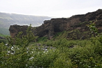 IMG_1195.JPG