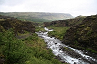 IMG_1196.JPG