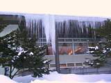 IMG_8592.JPG