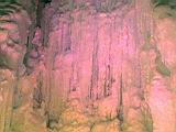 IMG_8643.JPG