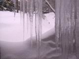 IMG_8644.JPG