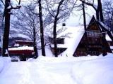 IMG_8646.JPG