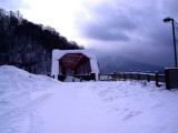 IMG_8649.JPG