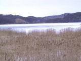 IMG_8679.JPG