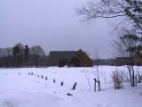 IMG_8682.JPG