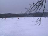 IMG_8684.JPG