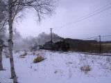 IMG_8694.JPG