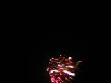 IMG_8727.JPG