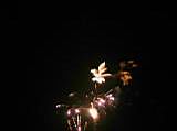 IMG_8734.JPG