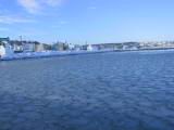 IMG_8768.JPG