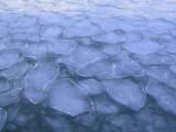 IMG_8769.JPG