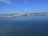 IMG_8771.JPG