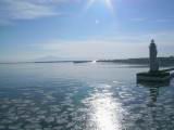 IMG_8774.JPG