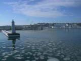 IMG_8775.JPG