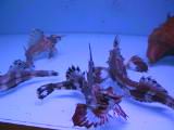 IMG_8806.JPG