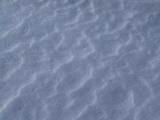 IMG_8817.JPG