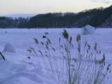IMG_8844.JPG