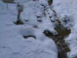 IMG_8865.JPG
