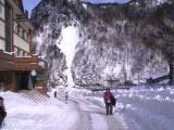 IMG_8869.JPG
