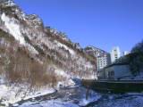 IMG_8963.JPG