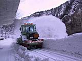IMG_8981.JPG