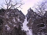 IMG_8988.JPG