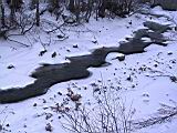 IMG_8993.JPG