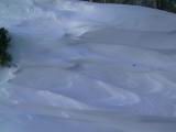 IMG_8886.JPG