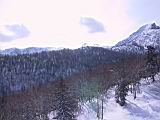 IMG_8895.JPG