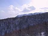 IMG_8896.JPG