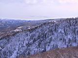 IMG_8903.JPG