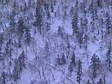 IMG_8904.JPG
