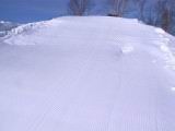 IMG_8913.JPG