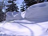 IMG_8917.JPG