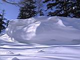IMG_8918.JPG