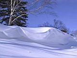 IMG_8919.JPG