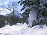 IMG_8924.JPG
