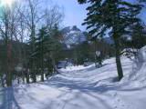 IMG_8925.JPG