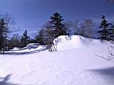IMG_8928.JPG