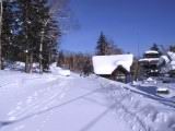 IMG_8933.JPG