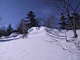 IMG_8938.JPG