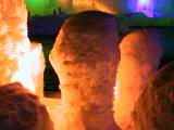 IMG_9076.JPG