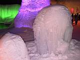 IMG_9079.JPG