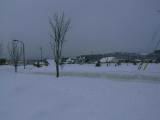 IMG_9132.JPG