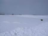 IMG_9136.JPG