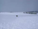 IMG_9137.JPG
