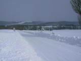 IMG_9139.JPG