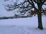 IMG_9142.JPG