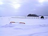 IMG_9145.JPG